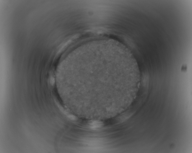 X0000113180719200910161332