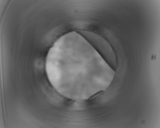 X0000113180720200910161332