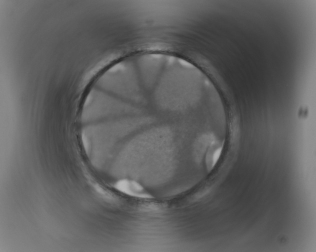 X0000113180721200910161331