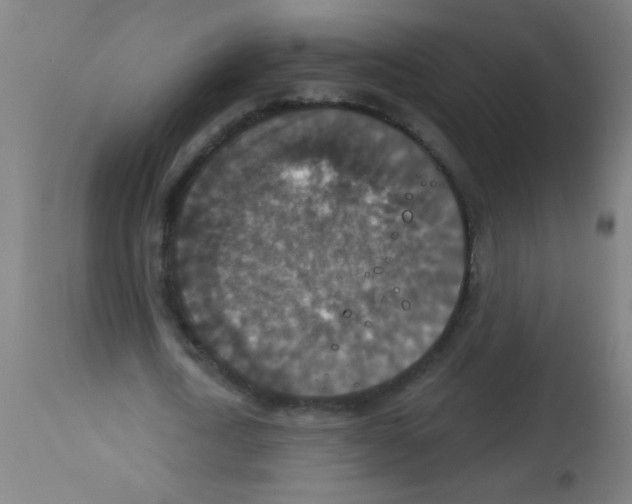 X0000113180722200910161331