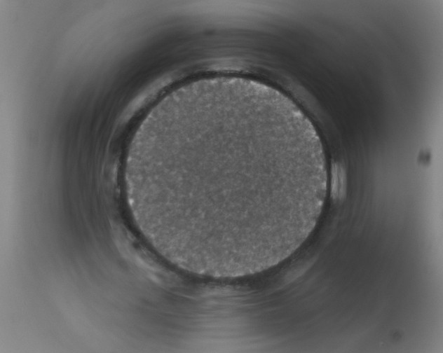 X0000113180723200910161331
