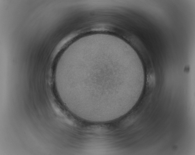 X0000113180724200910161331