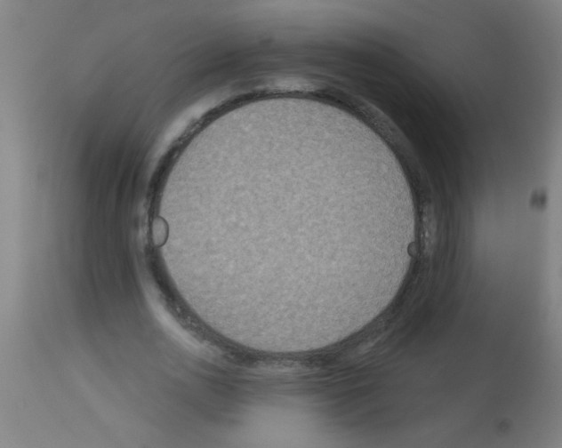 X0000113180726200910161331