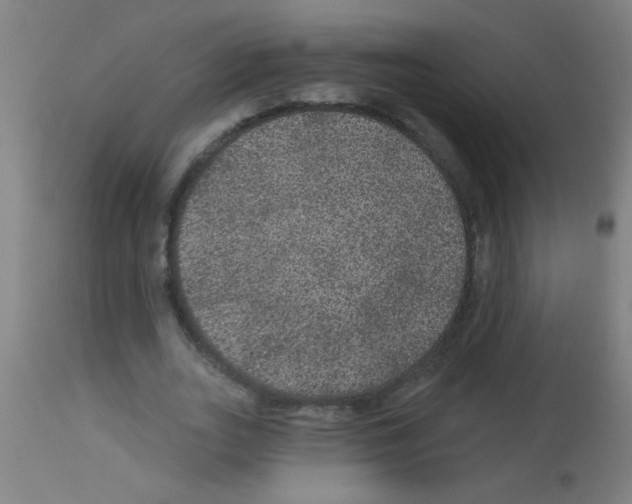 X0000113180727200910161331