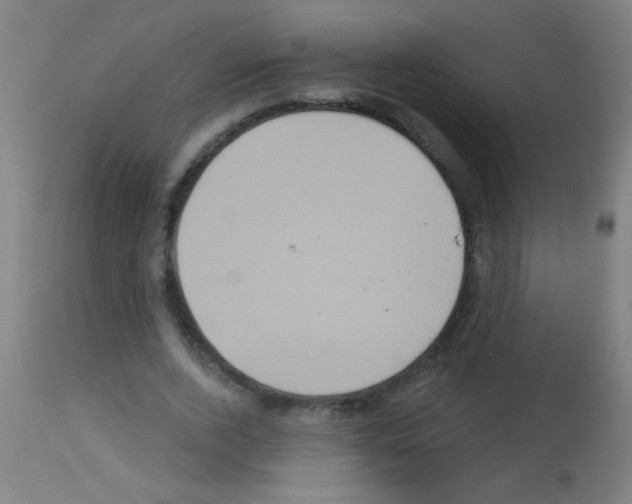 X0000113180728200910161331