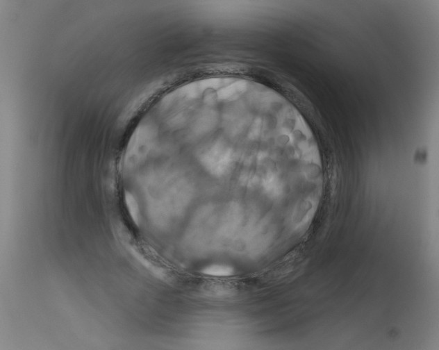 X0000113180729200910161331