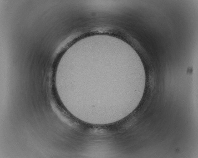 X0000113180730200910161331