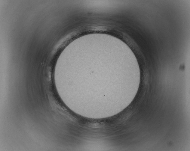 X0000113180731200910161331