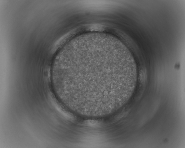 X0000113180733200910161331