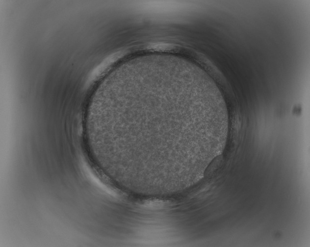 X0000113180734200910161331