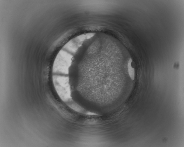 X0000113180735200910161331