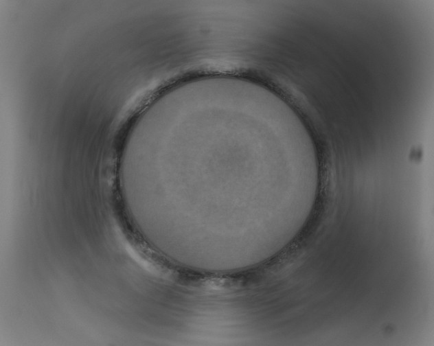 X0000113180736200910161331