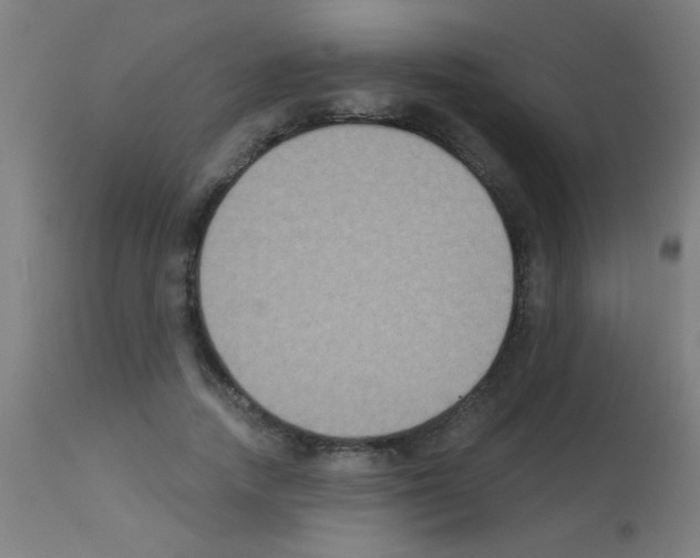 X0000113180738200910161331