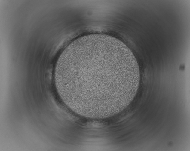 X0000113180739200910161331