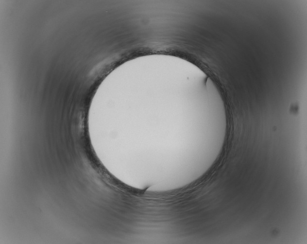 X0000113180740200910161331