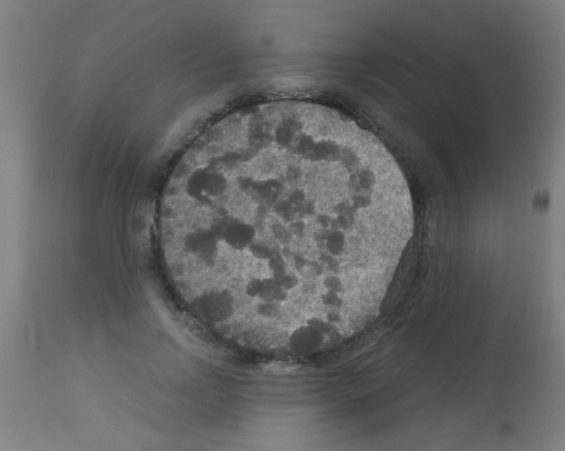 X0000113180742200910161331