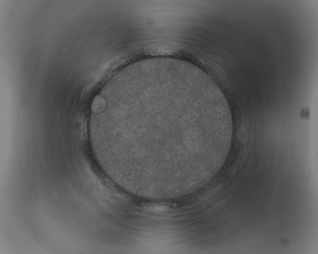 X0000113180743200910161331