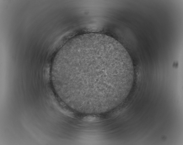 X0000113180745200910161331
