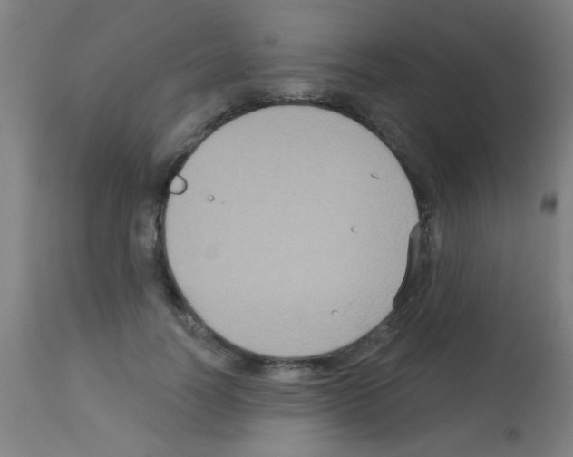 X0000113180746200910161331