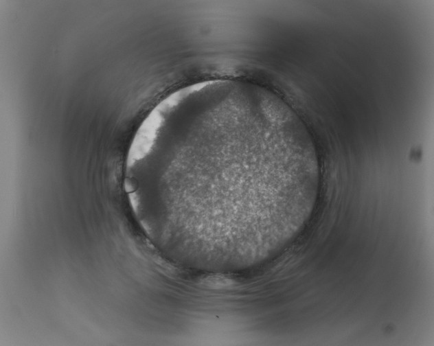 X0000113180747200910161331