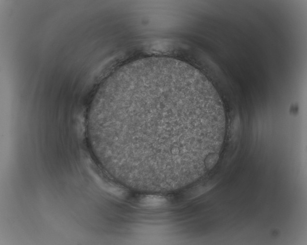 X0000113180749200910161331