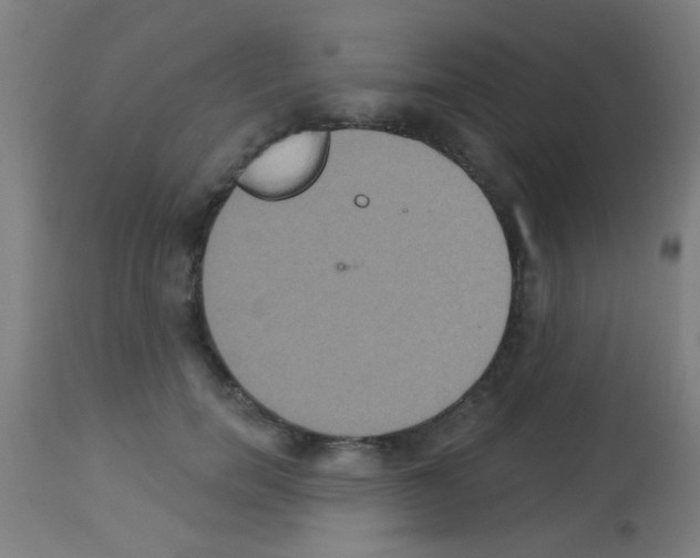 X0000113180750200910161331