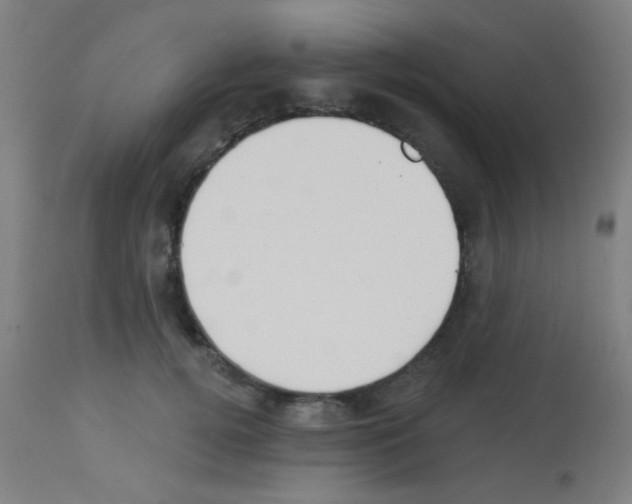 X0000113180752200910161331