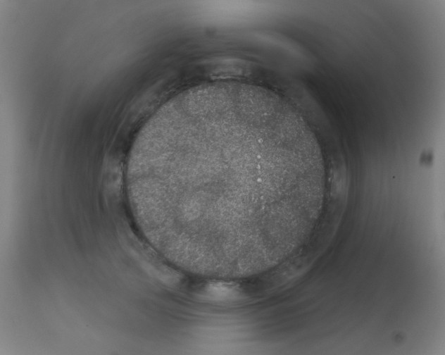 X0000113180753200910161331