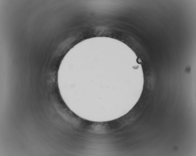 X0000113180756200910161331