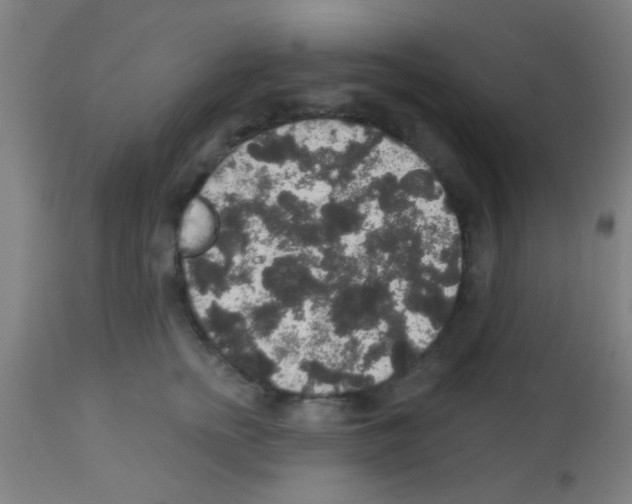 X0000113180758200910161331