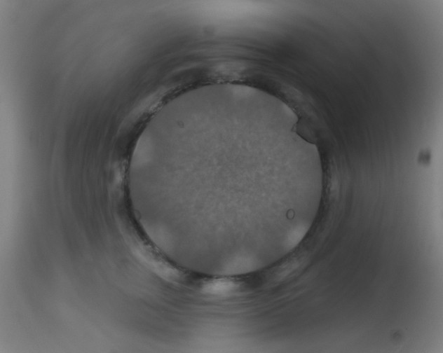 X0000113180759200910161331
