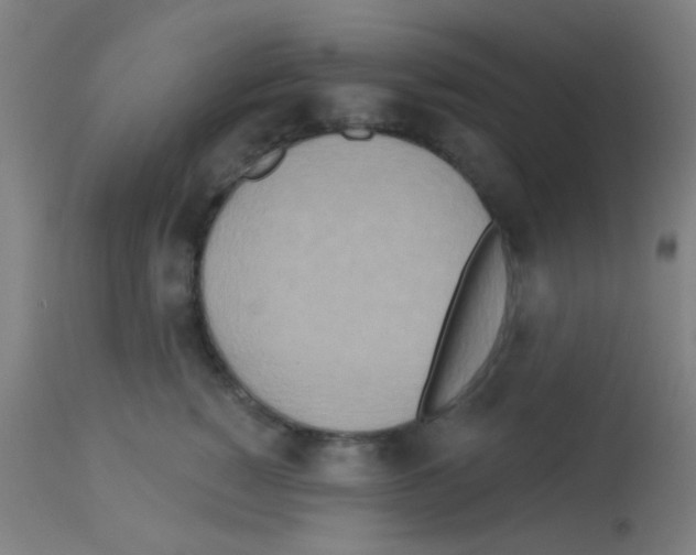X0000113180760200910161331