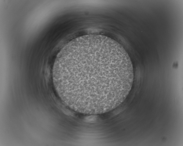 X0000113180761200910161331