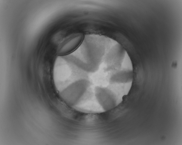 X0000113180762200910161331