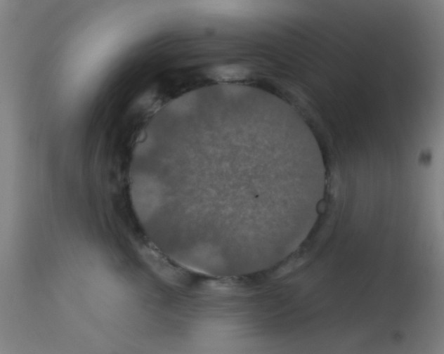 X0000113180763200910161331