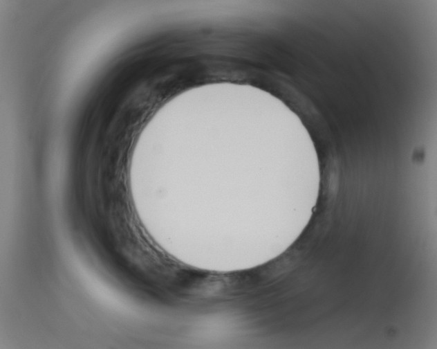 X0000113180764200910161331