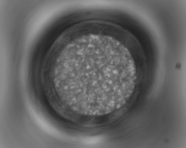 X0000113180765200910161331