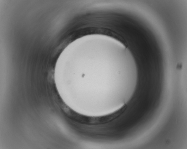 X0000113180766200910161331