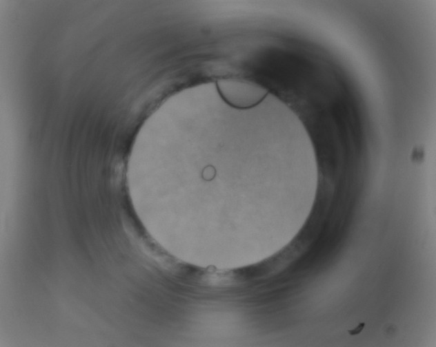 X0000113180767200910161331