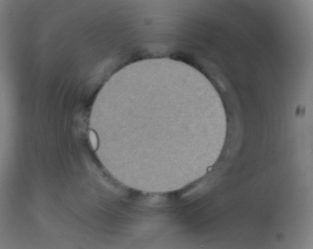 X0000113180768200910161331