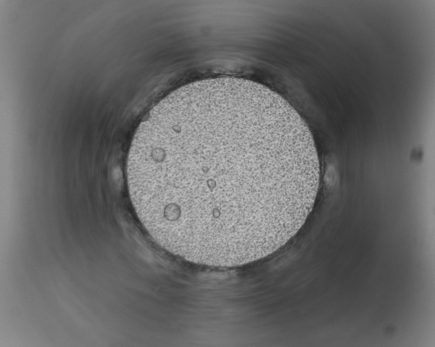 X0000113180771200910161331