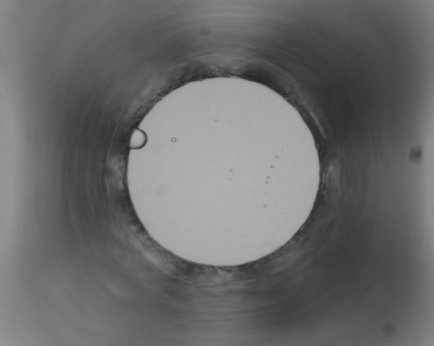 X0000113180772200910161331