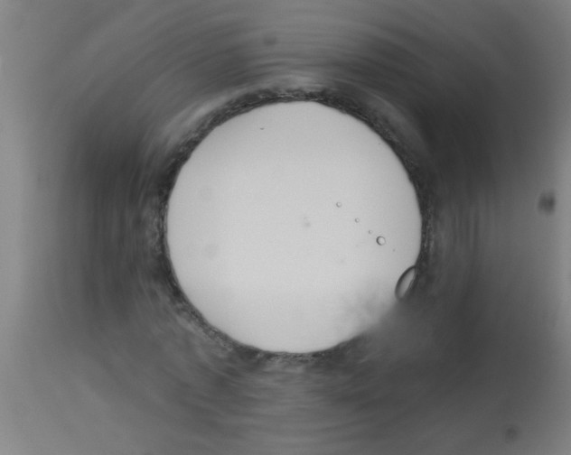 X0000113180773200910161331