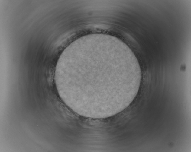 X0000113180774200910161331