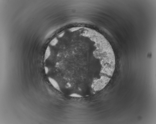 X0000113180775200910161331