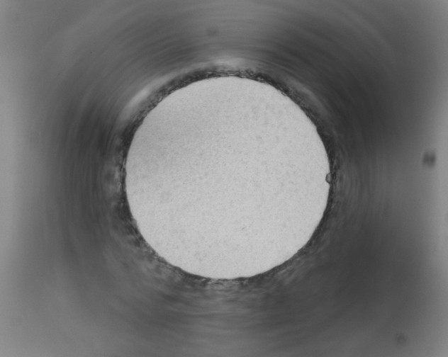 X0000113180776200910161331