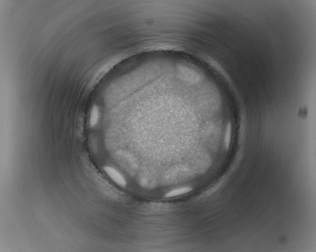 X0000113180777200910161331