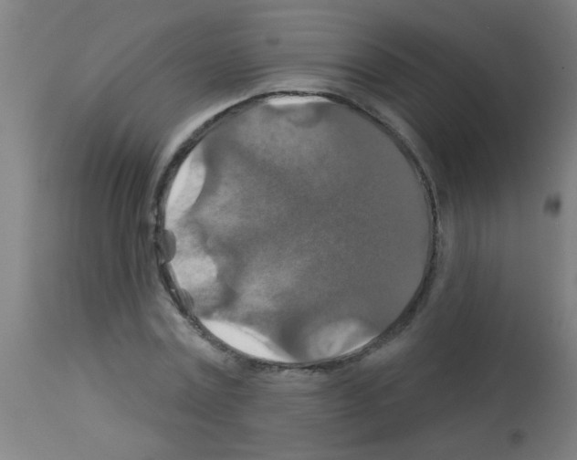 X0000113180779200910161331