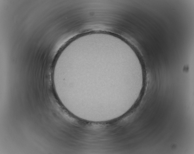 X0000113180782200910161331