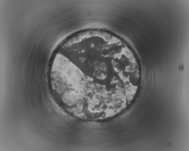 X0000113180783200910161331